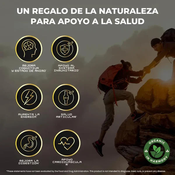Gomitas de Shilajit x 180g  - (60 Gomitas)